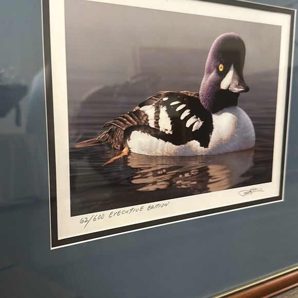 1998 FEDERAL DUCK STAMP PRINT! 1998 BARROW’s GOLDENEYE DRAKE SIGNED  Medallion e - Picture 2 of 9